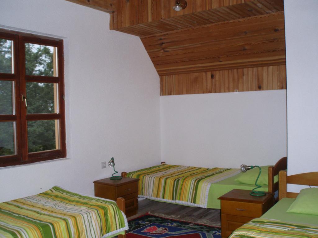 Guest House Tara Canyon Pljevlja Room photo