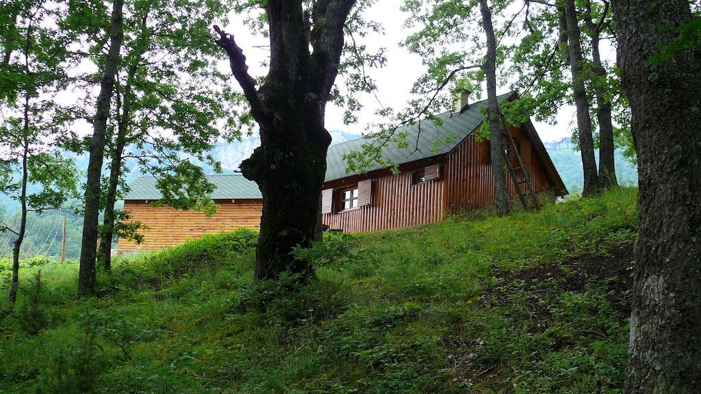 Guest House Tara Canyon Pljevlja Exterior photo