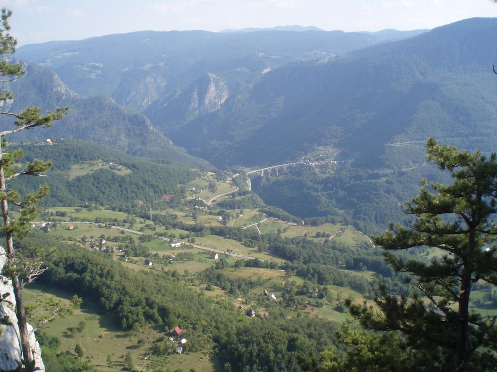 Guest House Tara Canyon Pljevlja Exterior photo