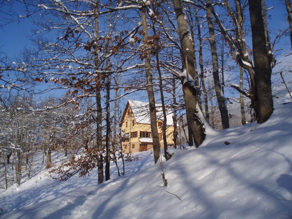 Guest House Tara Canyon Pljevlja Exterior photo