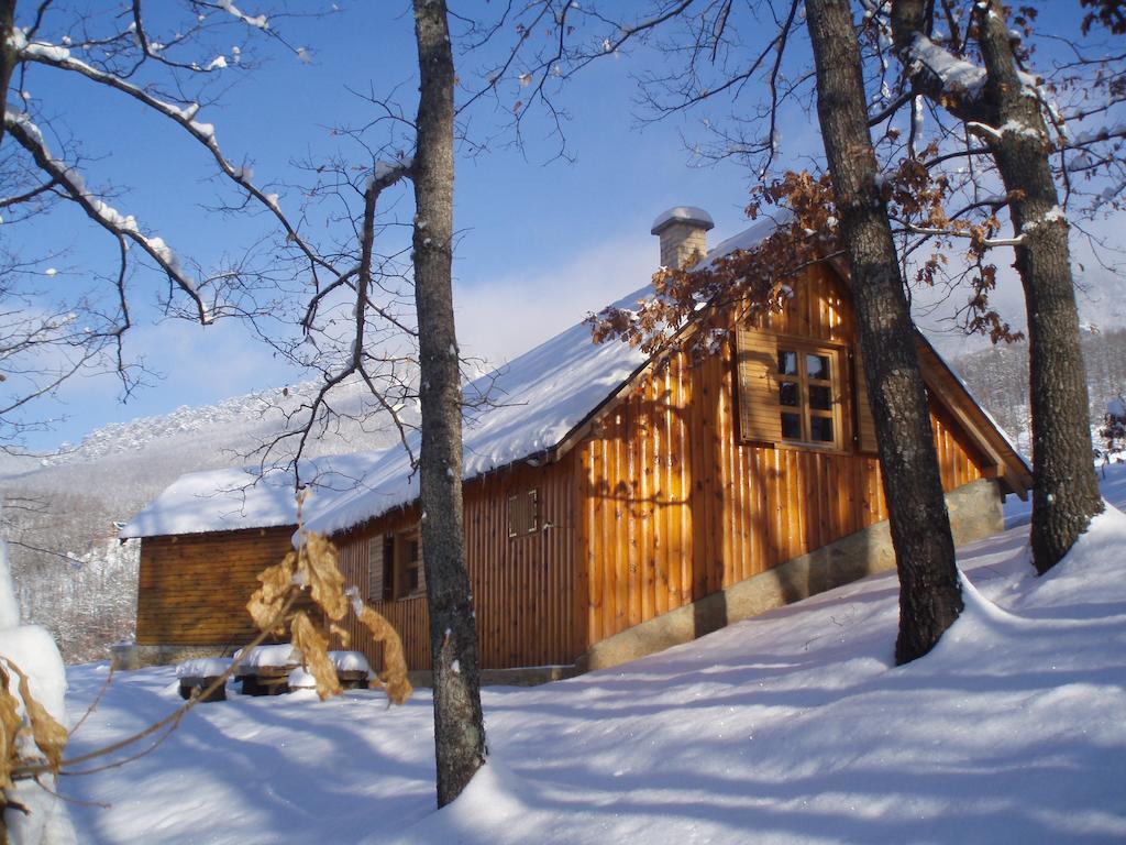 Guest House Tara Canyon Pljevlja Exterior photo