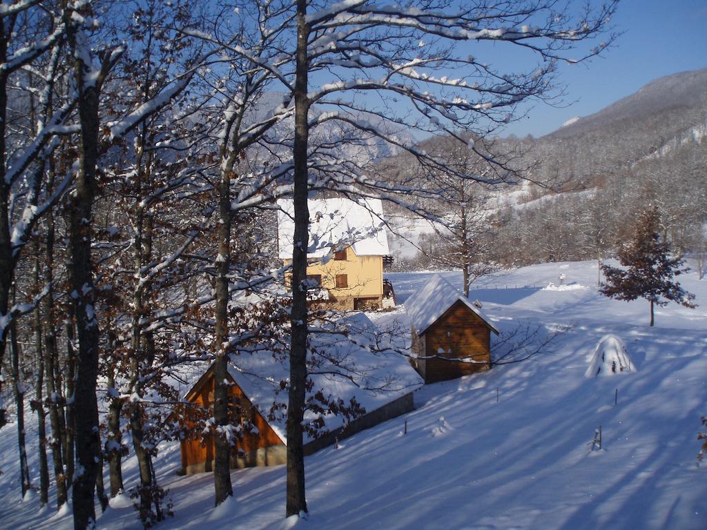Guest House Tara Canyon Pljevlja Exterior photo